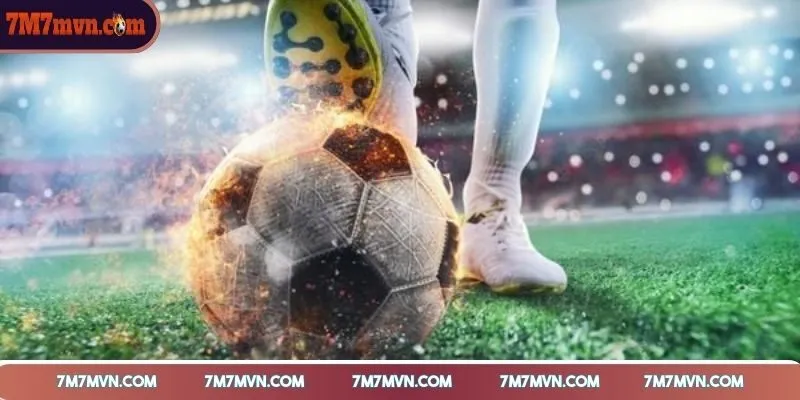 gioi-thieu-7m-chuyen-trang-7m