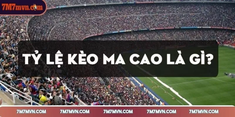 ty-le-ca-cuoc-ma-cao-duoc-hieu-cu-the-la-gi