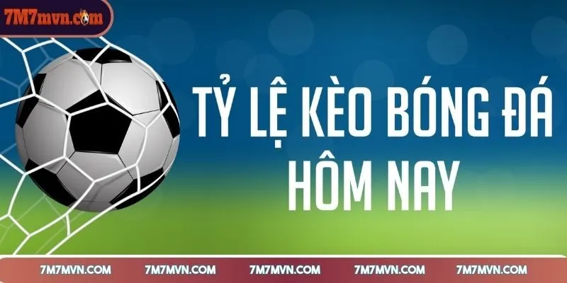 ty-le-keo-bong-da-vai-tro